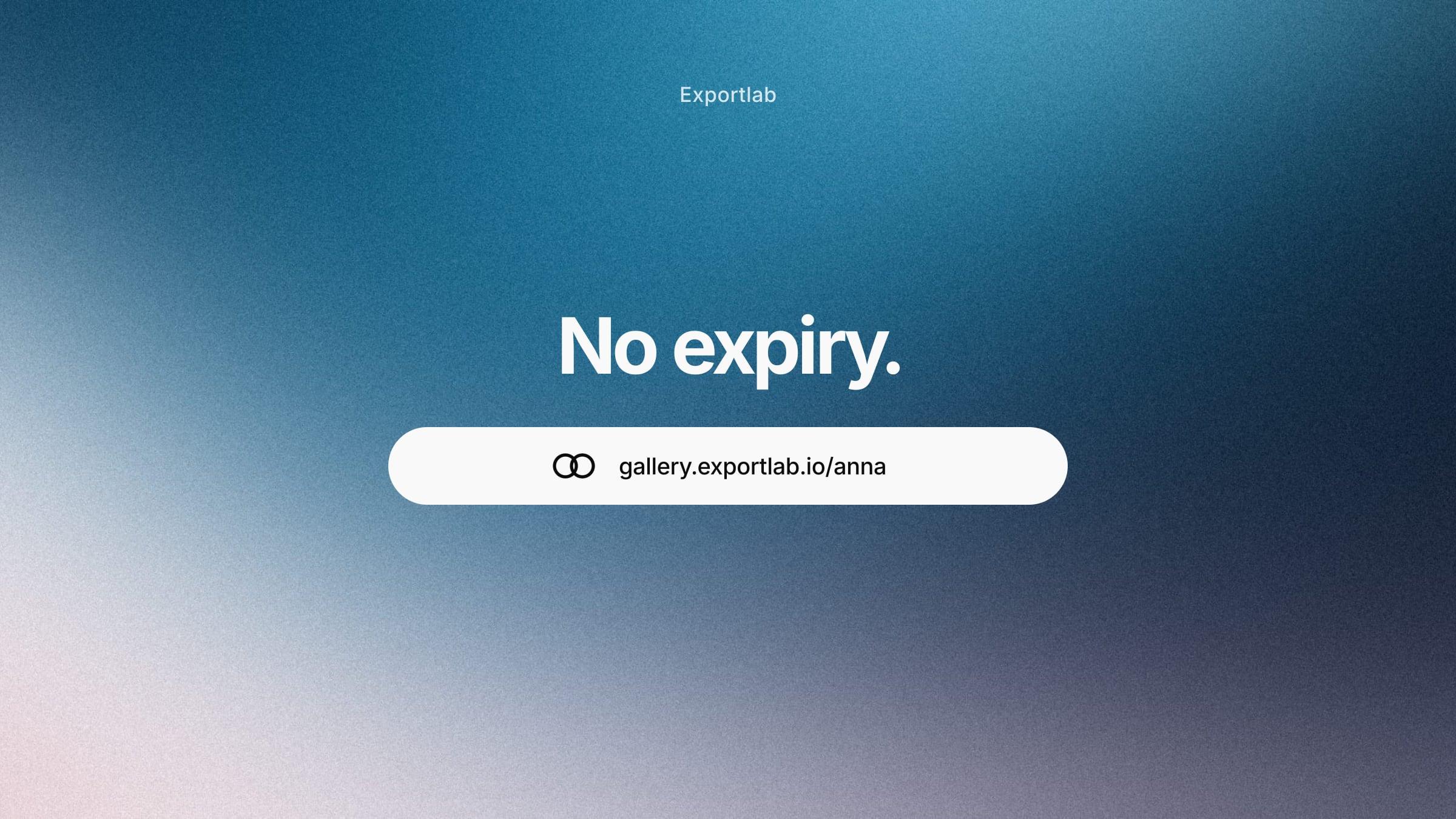No expiry – permanent gallery link in a white pill on a blue gradient